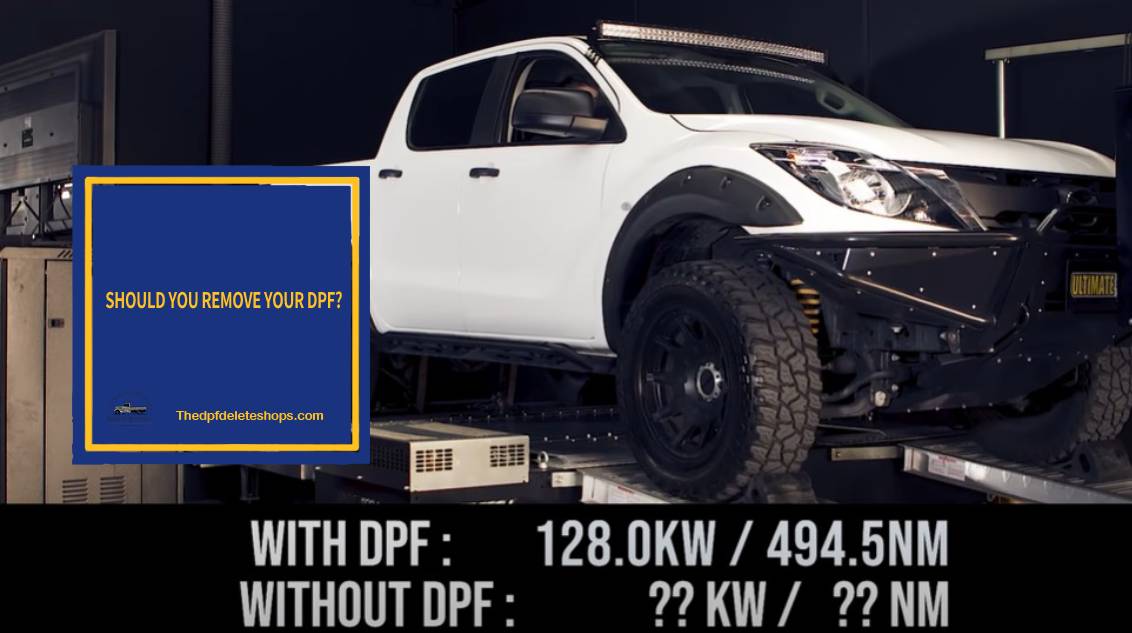 SHOULD YOU REMOVE YOUR DPF https://thedpfdeleteshops.com