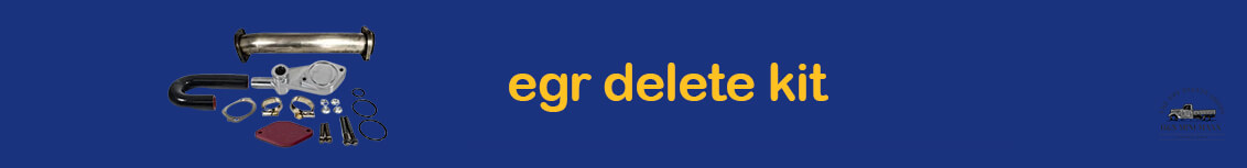 egr delete kit https://thedpfdeletesshops.com